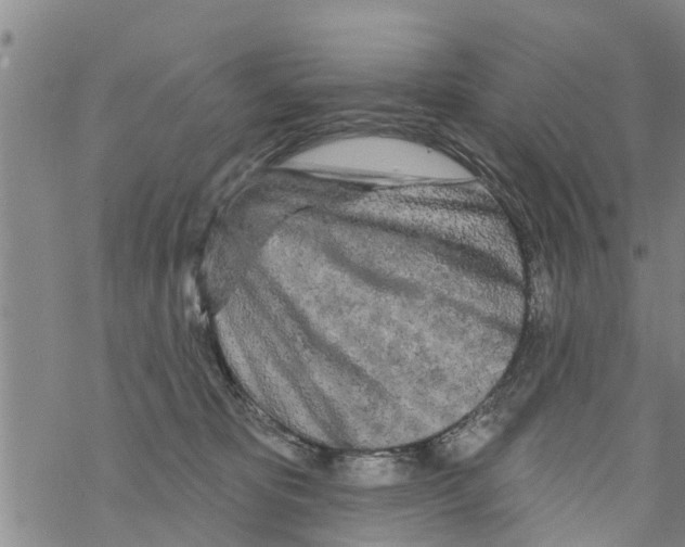 X0000068770325200605262212