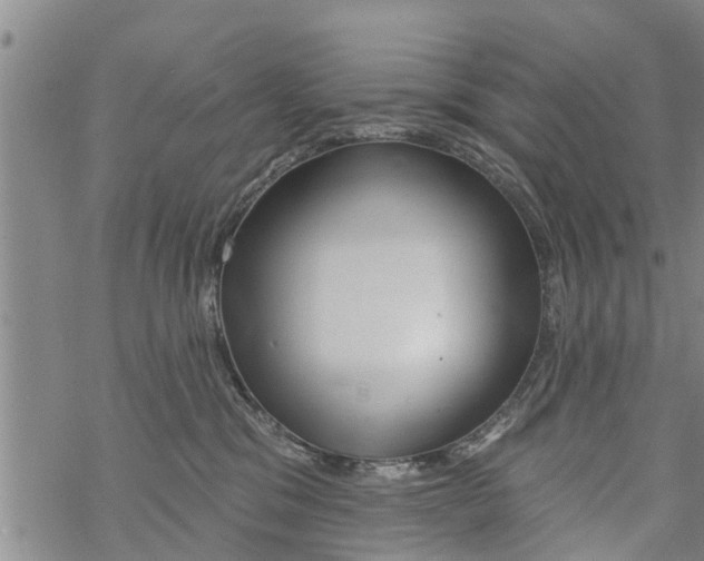 X0000068770329200605262212