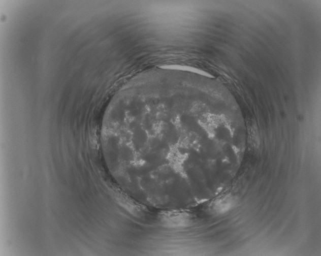 X0000068770331200605262212