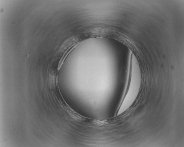 X0000068770333200605262212