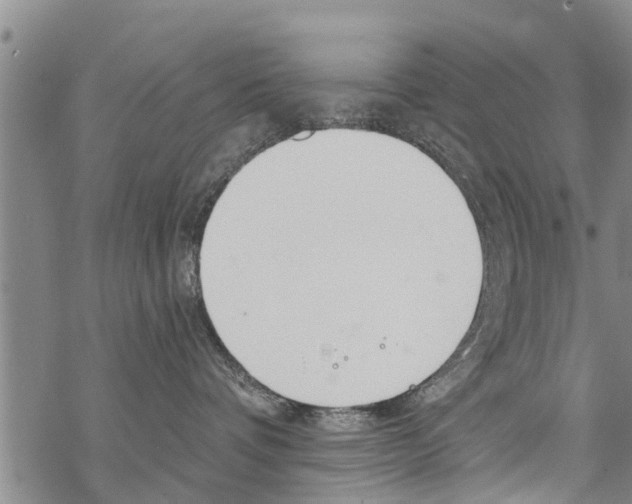 X0000068770336200605262212