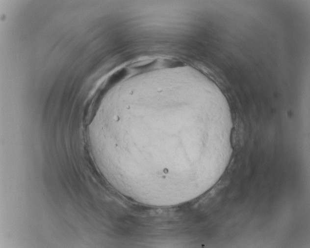 X0000068770338200605262211