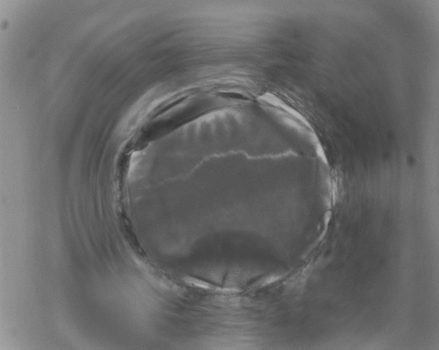 X0000068770339200605262211