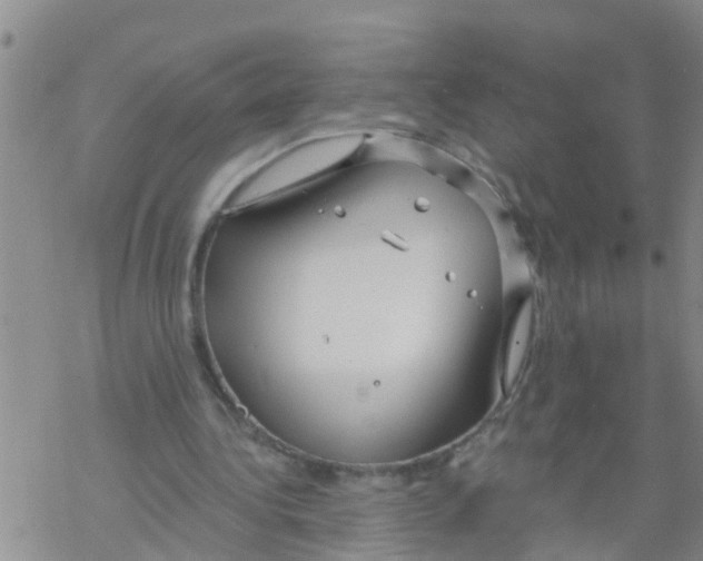 X0000068770340200605262211