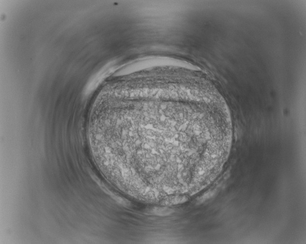 X0000068770341200605262211