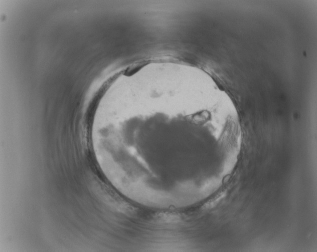 X0000068770343200605262211