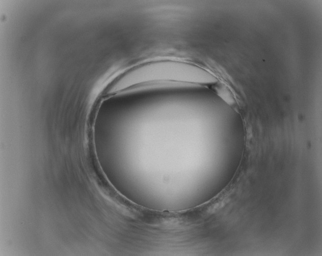 X0000068770344200605262211