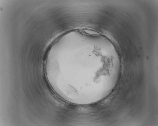 X0000068770346200605262212