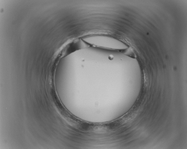 X0000068770348200605262212