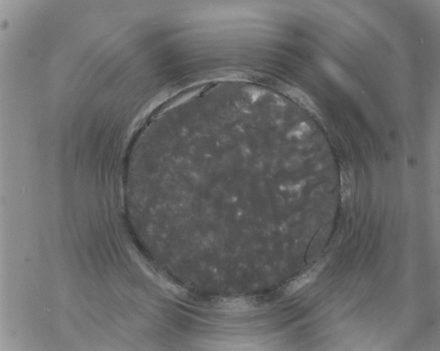 X0000068770349200605262212