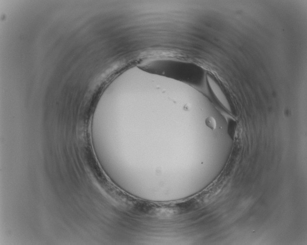 X0000068770352200605262212