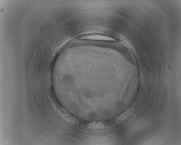 X0000068770354200605262212