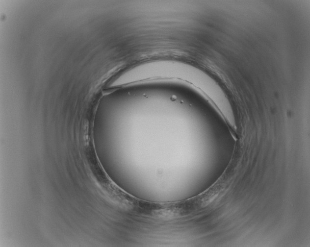 X0000068770356200605262212