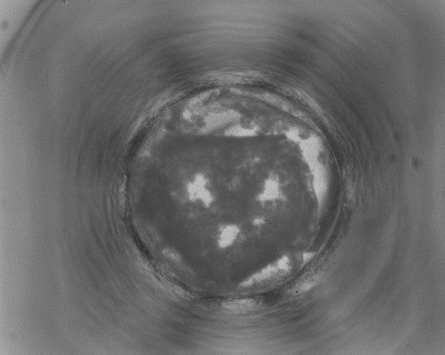 X0000068770357200605262212