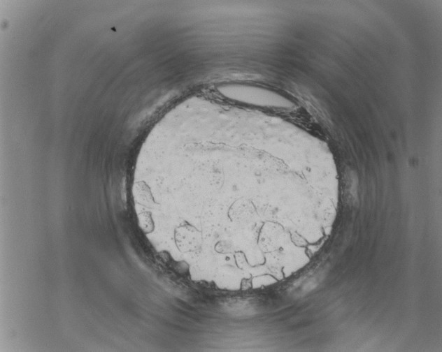 X0000068770358200605262212