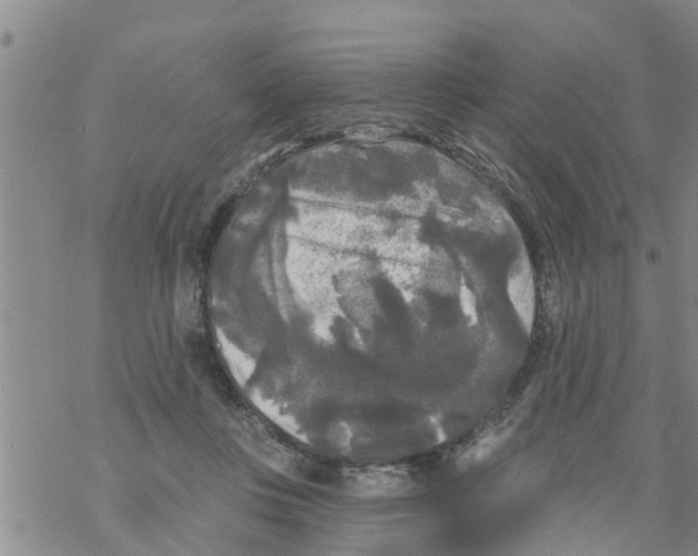 X0000068770359200605262212