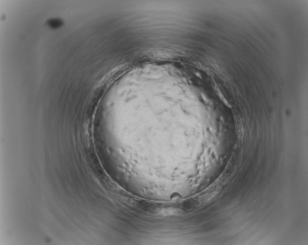 X0000068770360200605262212