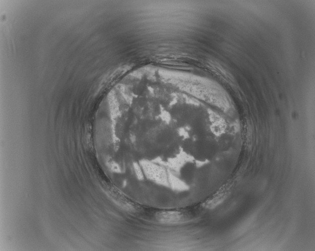 X0000068770361200605262212