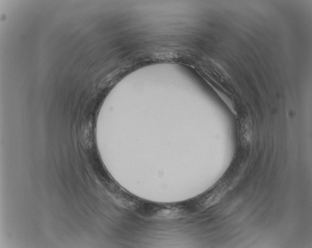 X0000068770364200605262212