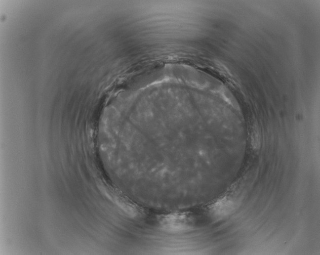 X0000068770366200605262212