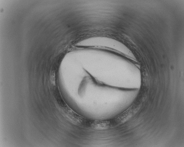 X0000068770368200605262212