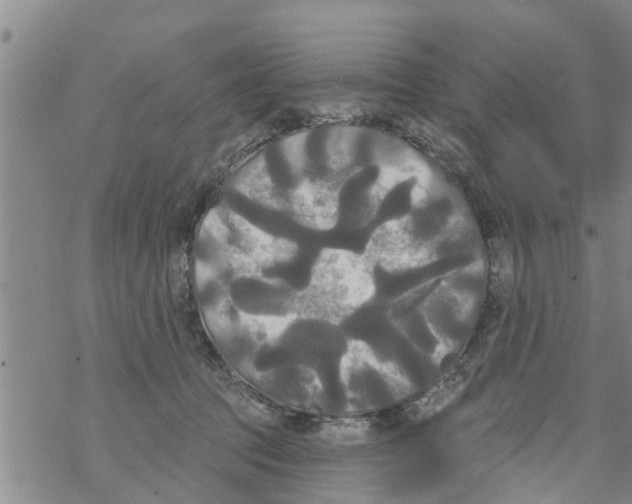 X0000068770369200605262212