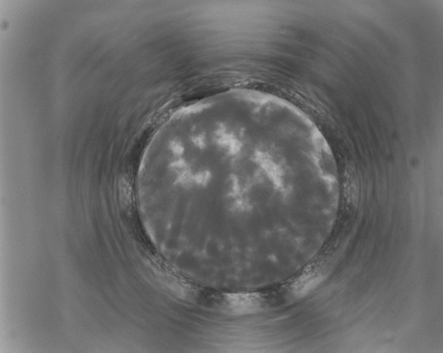 X0000068770371200605262212