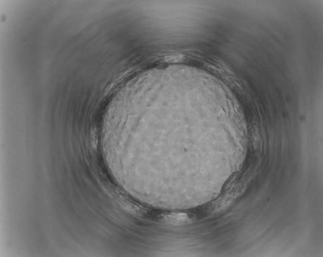 X0000068770374200605262212