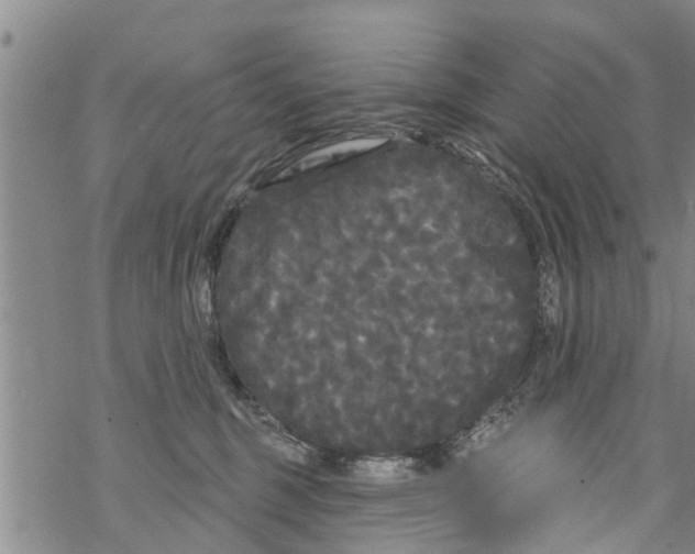 X0000068770375200605262212