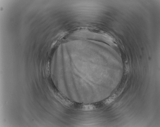 X0000068770376200605262212