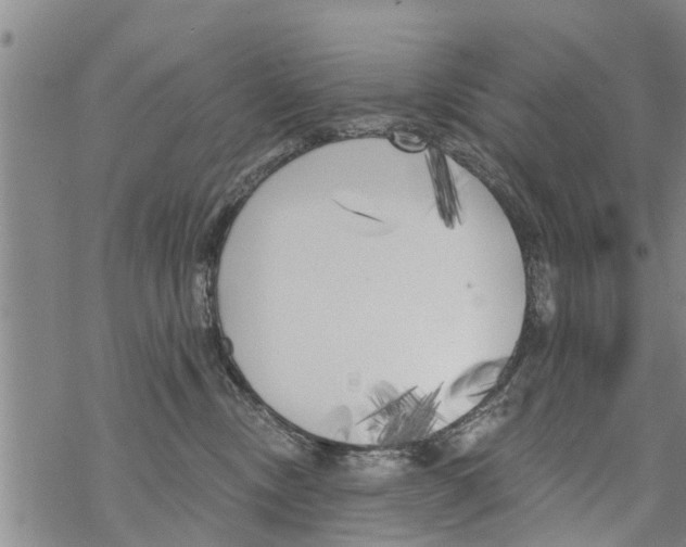 X0000068770378200605262212