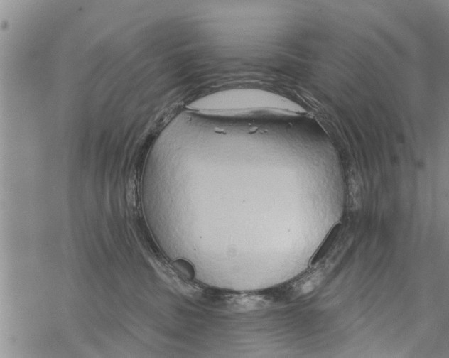 X0000068770379200605262212