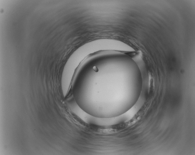 X0000068770380200605262212