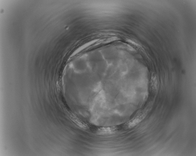 X0000068770381200605262212