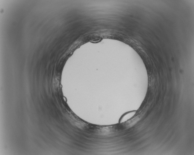 X0000068770382200605262212