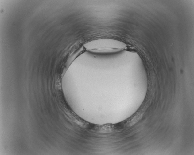 X0000068770384200605262212