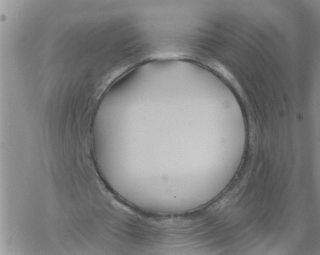 X0000068770385200605262211