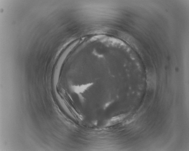 X0000068770386200605262211