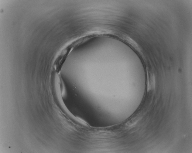 X0000068770387200605262211