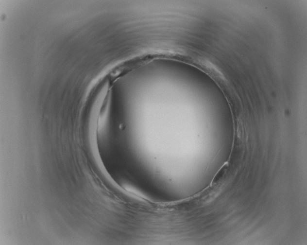 X0000068770388200605262211