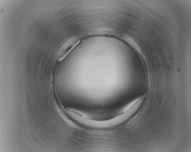 X0000068770389200605262211