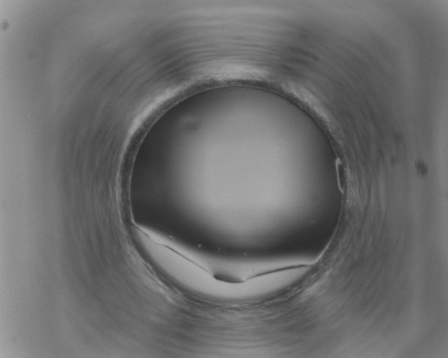 X0000068770391200605262211