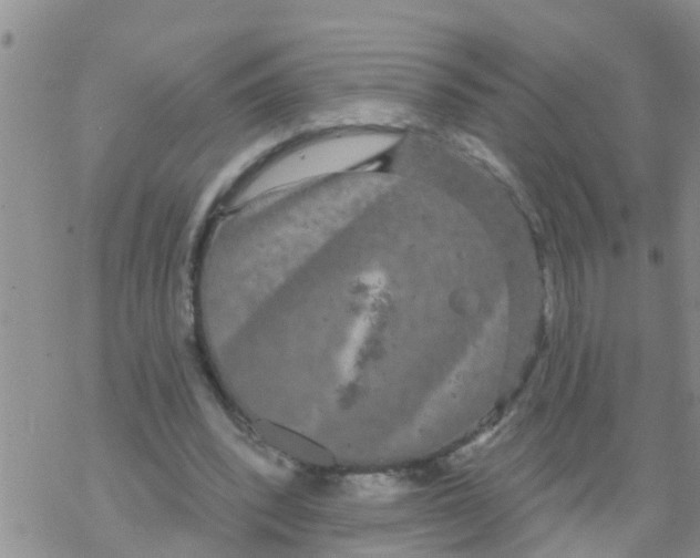 X0000068770392200605262211