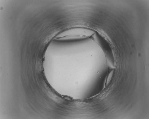 X0000068770393200605262211