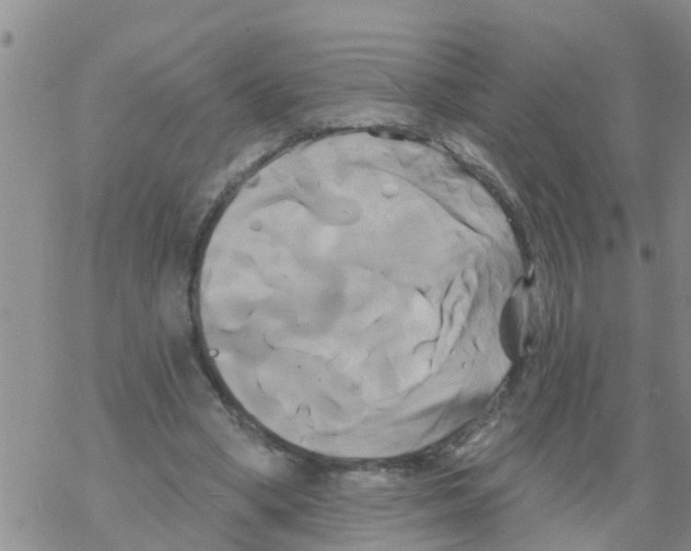 X0000068770394200605262211