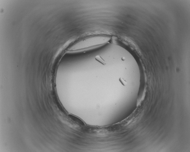 X0000068770395200605262211