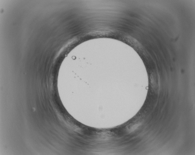 X0000068770396200605262211