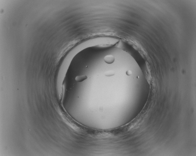 X0000068770397200605262211