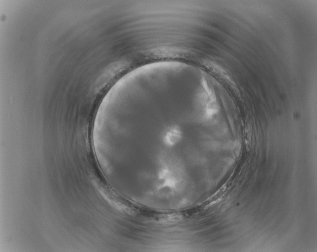 X0000068770398200605262211