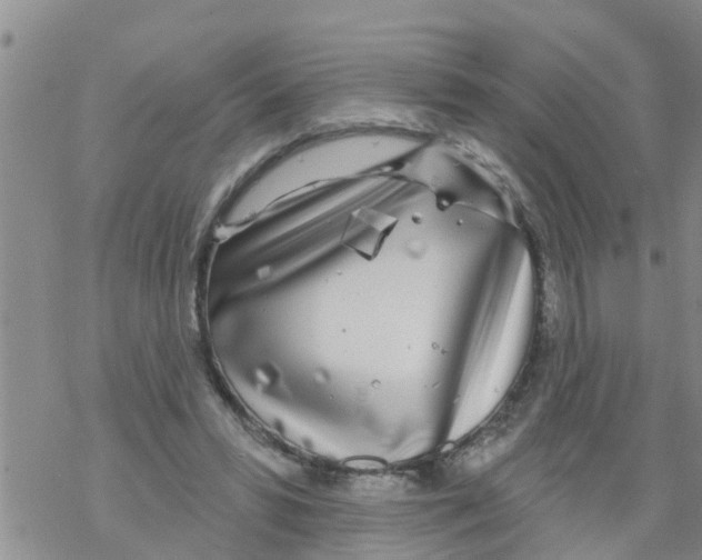 X0000068770399200605262211